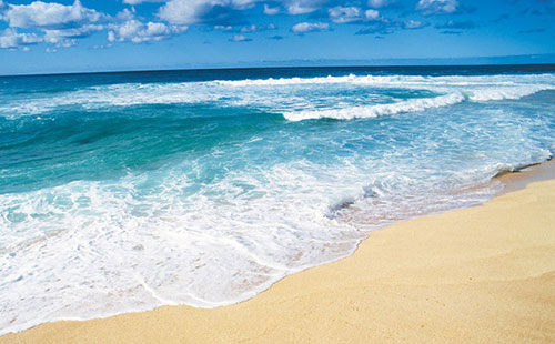 上海梓意水性消泡劑 上海梓意水性消泡劑